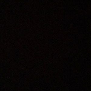 Meet your Posher, Dylan